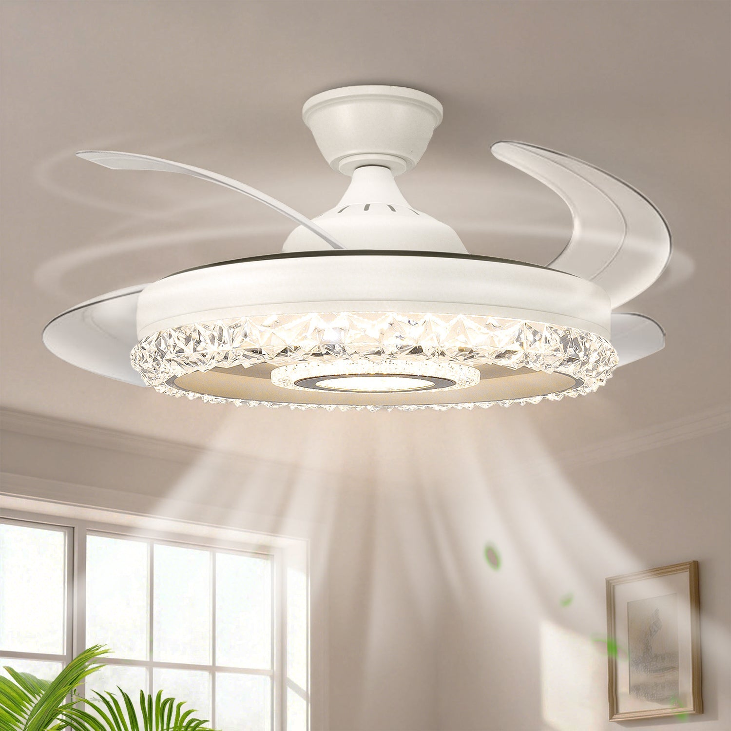 Ceiling Fans