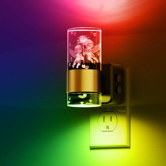 YANSUN 2-Pack Plug-in Photocell Night Light, Warm Glow Dimmable Wall Sconce Style Lighting with Metal & Acrylic Accents