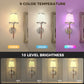 YANSUN Set of 2 Octopus-Claw Leather Arm Wall Lights, White Chrome Finish, 2W, RGBCW Dimmable
