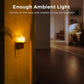 YANSUN 2-Pack 1W Plug-in Night Light with Amber 1600K, Dusk to Dawn Sensor, Slide Dimmer, Wood Grain Finish