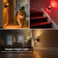 YANSUN 2-Pack Plug-in Photocell Night Light, Warm Glow Dimmable Wall Sconce Style Lighting with Metal & Acrylic Accents
