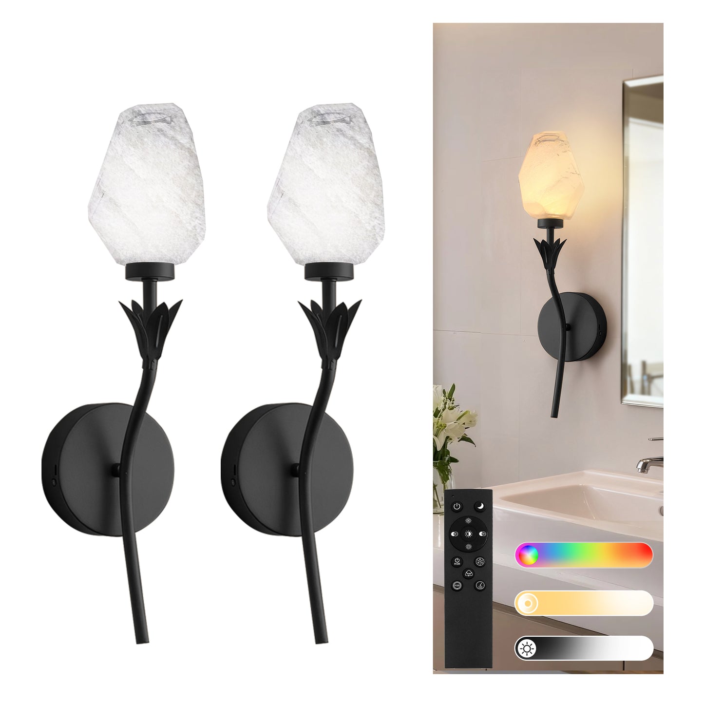 YANSUN 2-Pack Floral Art Glass Black LED Wall Sconce RGBCW Remote Control Remote Timer Dimmable Wall Light for Living Room