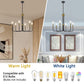YANSUN 6-Light Black Gold Branch Chandelier ETL Certified Modern Ceiling Pendant Light E12