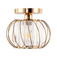 YANSUN Gold Semi Flush Mount Ceiling Light, Modern Single Light Fixture with Glass Shade, E26 Ceiling Lamp for Bedroom Kitchen Hallway Entryway