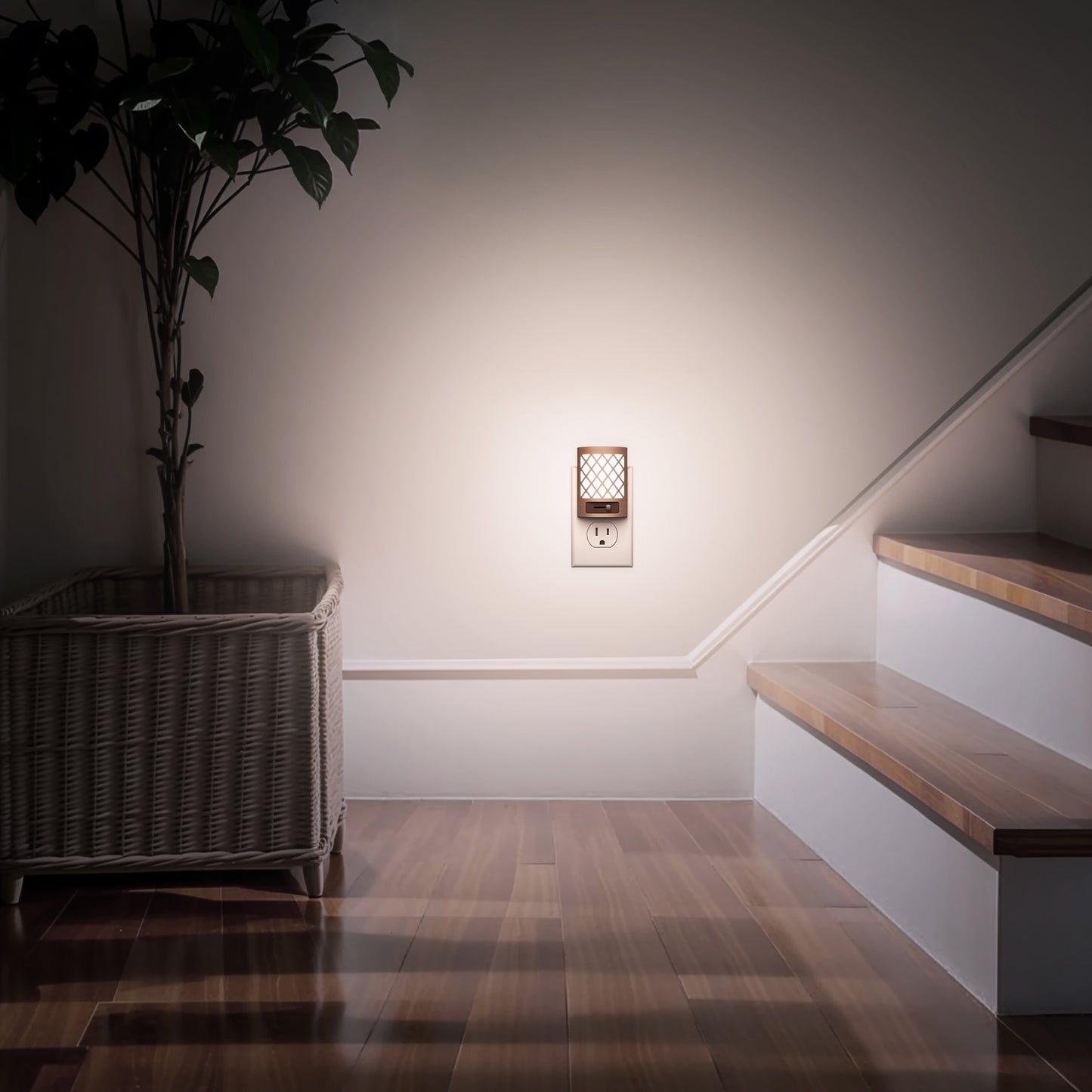 YANSUN 2-Pack 1W Plug-In Light Sensor Night Lights, Vintage Dimming, 5000K White Light, Slide Dimming (0%-100%), US Plug