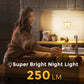 YANSUN 1.5W Plug-In Dusk to Dawn Night Light, Solar-Style Wall Light, White Housing, Warm 3000K LED, Slide Dimmer, US 2-Prong Plug