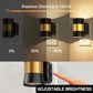 YANSUN 2-Pack 1W Black Plug-In Night Lights, Mini Trumpet Cylinder Design with Gold-Tone Belt, Warm 3000K Dimmable, US Plug