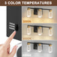 YANSUN 18 in. 3 Light Black and Gold LED Vanity Light Bar with Glass Shades and 3CCT Dimmable Function