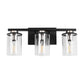 18.5 in. 3-Light Black and Brushed Nickel Vanity Light with Clear Glass Shade for Bathroom