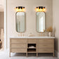 18.5 in. 3-Light Black and Brushed Nickel Vanity Light with Clear Glass Shade for Bathroom