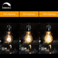 4 Pack Vintage Edison Bulbs with Filament, 60W Dimmable E26 A19 Antique Light, Golden Finish Industrial Design Amber Warm ,Omnidirectional 360 Degrees Angles