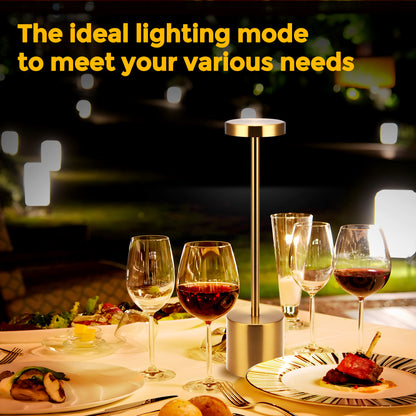 13.4 in. Gold Cordless Rechargeable Integrated LED Table Lamp, Modern Portable Stepless Brightness Desk Lamps (2-Pack)