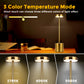 YANSUN 2-Pack I-Shaped Desk LED Lamps Metal Copper Finish 3W
