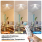 YANSUN 21 in 3-Blade Small Direct Fan Blade Ceiling Light, White, Hardwired, 100-240V