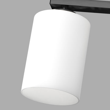 24 in. 4-Light Bathroom Vanity Light with Frosted Glass and Black Iron Frame