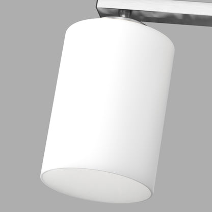 24 in. 4-Light Bathroom Vanity Light with Frosted Glass and Nickel Iron Frame