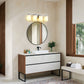 24 in. 4-Light Bathroom Vanity Light with Frosted Glass and Nickel Iron Frame