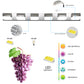 YANSUN Modern Bathroom Vanity Lighting 6-Light LED Vanity Lights Over Mirror Bath Wall Lighting